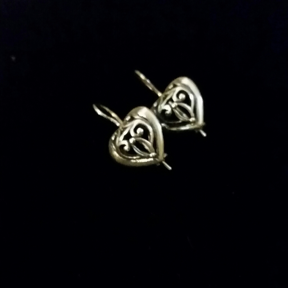 Earrings NWOT